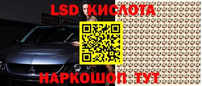 амф Новозыбков