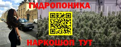 молекула духа Новодвинск