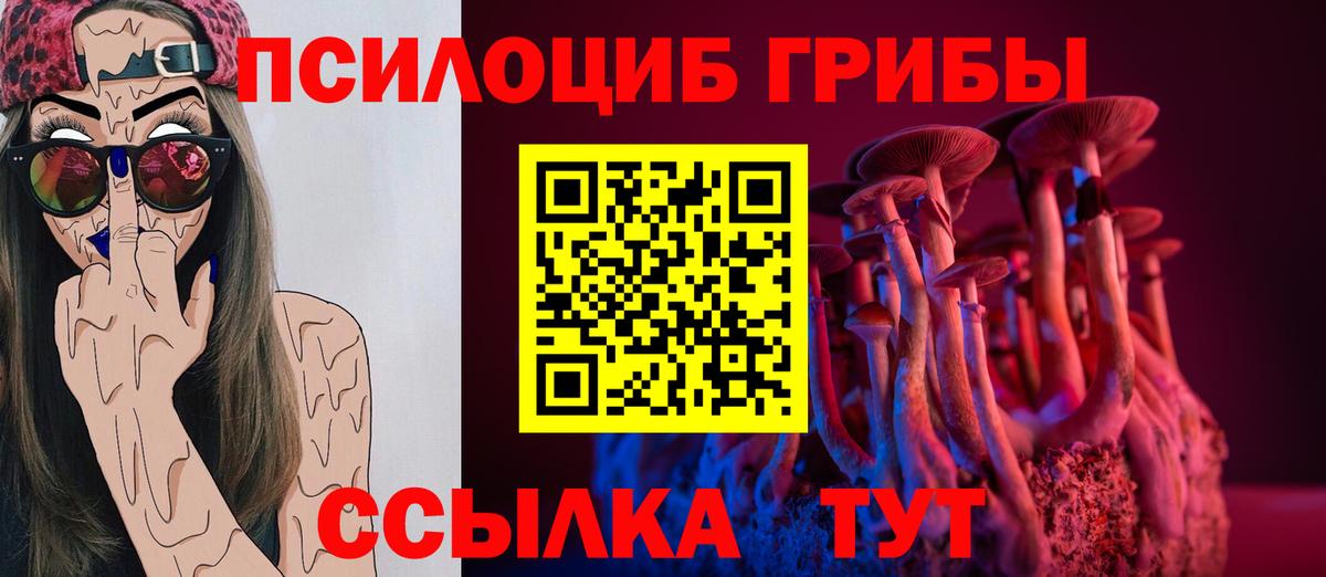 Озёрск  купить закладку  Вход с VPN  Галлюциногенные грибы прущие грибы  Псилоцибиновые грибы прущие грибы 